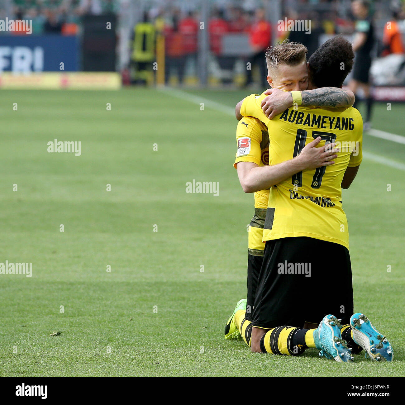 Dortmund, Alemania. 20 de mayo de 2017. Pierre-Emerick Aubameyang (R) del Borussia  Dortmund celebra con su compañero de equipo Marco Reus después de marcar en  la Bundesliga el partido entre el Borussia