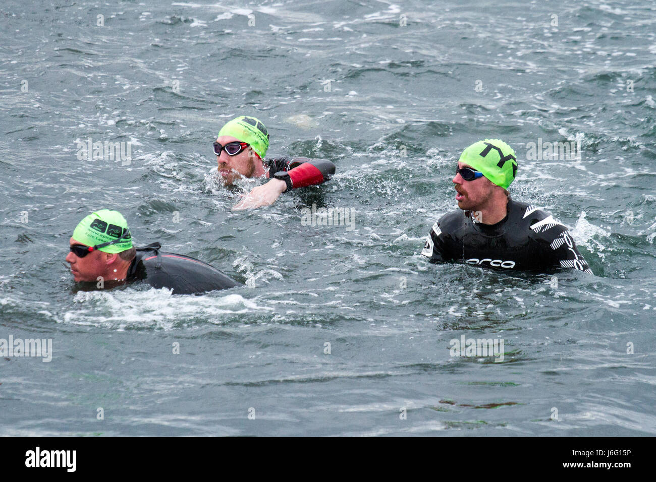 Club de natación de larga distancia fotografías e imágenes de alta  resolución - Alamy