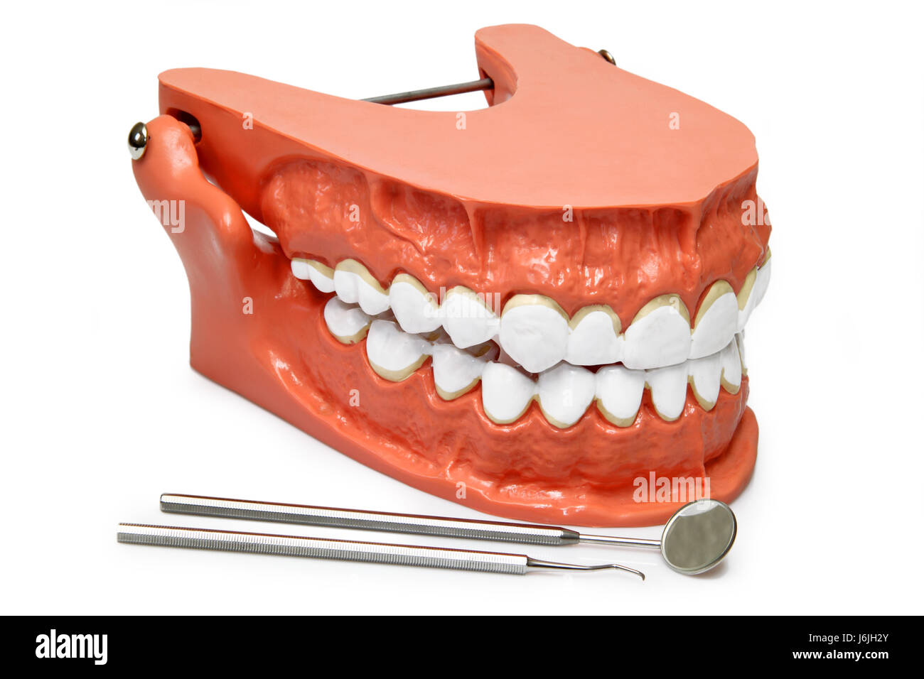 Dientes dentaduras dentaduras dentaduras artificiales bit bit dientes  sintética de plástico Fotografía de stock - Alamy