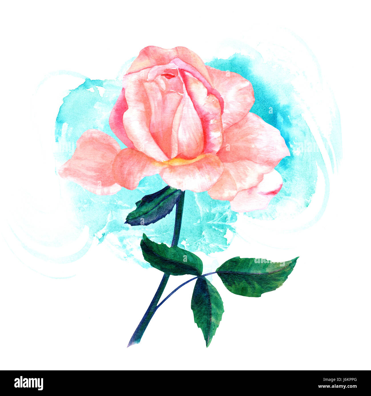 Dibujo de acuarela de tierna rosa rosa flor, pintado a mano de estilo  vintage, en arte botánico azul turquesa trazo de pincel de textura. Elem  decorativos Fotografía de stock - Alamy