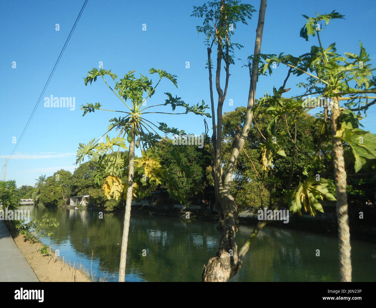 09518 los arrozales de riego Nayon Bagong Baliuag Bulacan puentes de carretera 23 Foto de stock