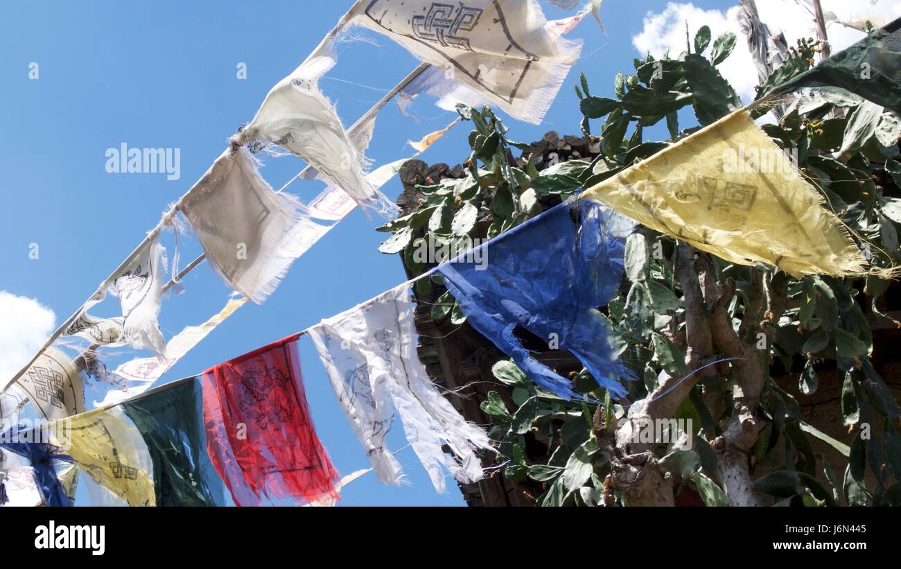 Fila de banderas de oración recortada contra el cielo azul, el Disney's Animal Kingdom, Florida, EE.UU. Foto de stock