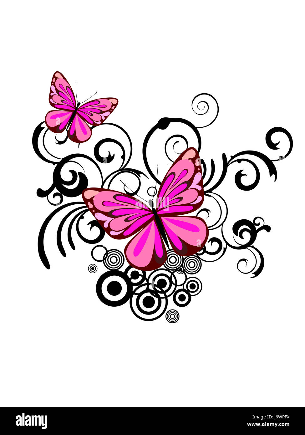 Planta de flores de verano de mariposas summerly naturaleza floral decoración de primavera Fotografía de stock - Alamy Planta de flores de verano de mariposas summerly naturaleza floral decoración de primavera Fotografía de stock - Alamy