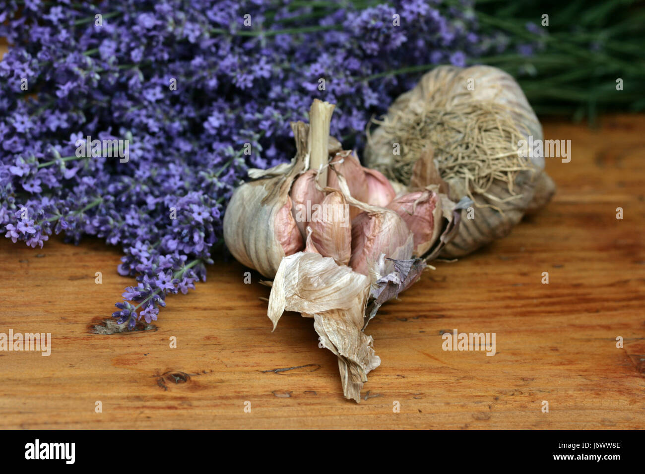 Mediterran lavanda ajo hierbas culinarias tablones de madera planta verde florece Foto de stock