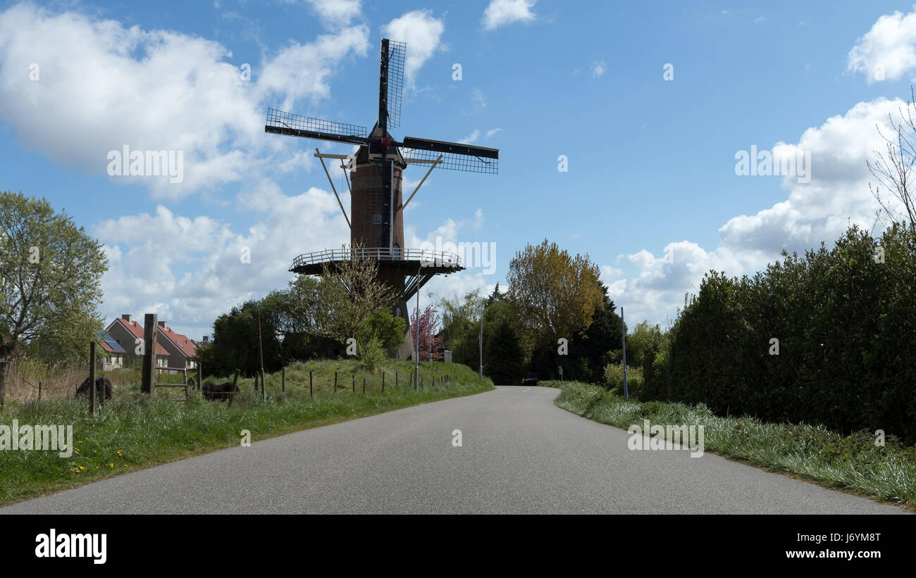 El molino de viento por una carretera, Wolphaartsdijk, Zeeland, Holanda Foto de stock