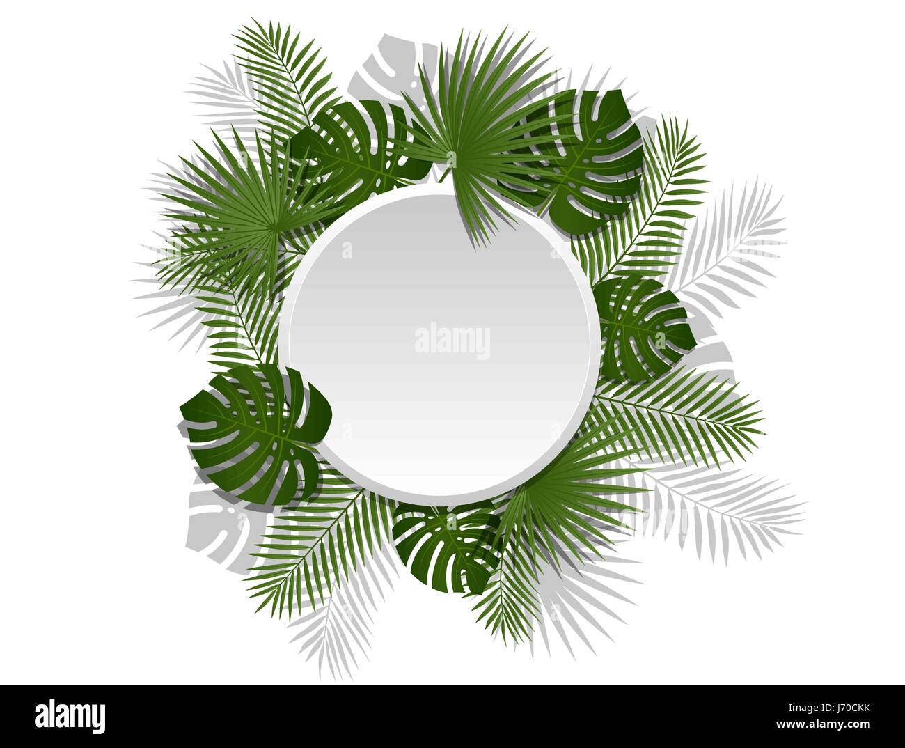 Verano verde encabezado tropical con exóticas plantas y hojas de palmera. Vector diseño floral en línea blanca de fondo. Ilustración del Vector