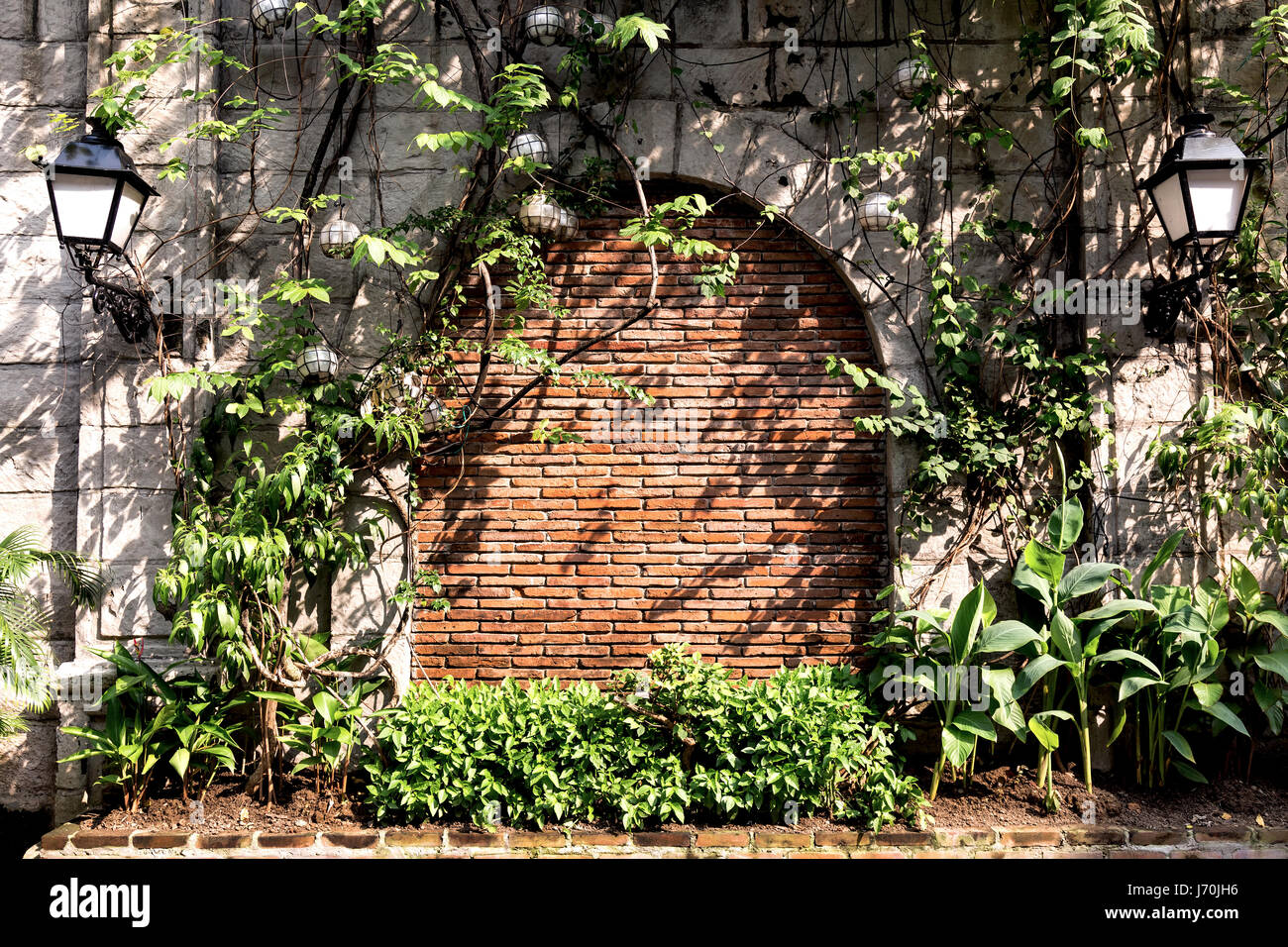 Viejo muro con plantas en el distrito histórico de Manila, Filipinas. Foto de stock