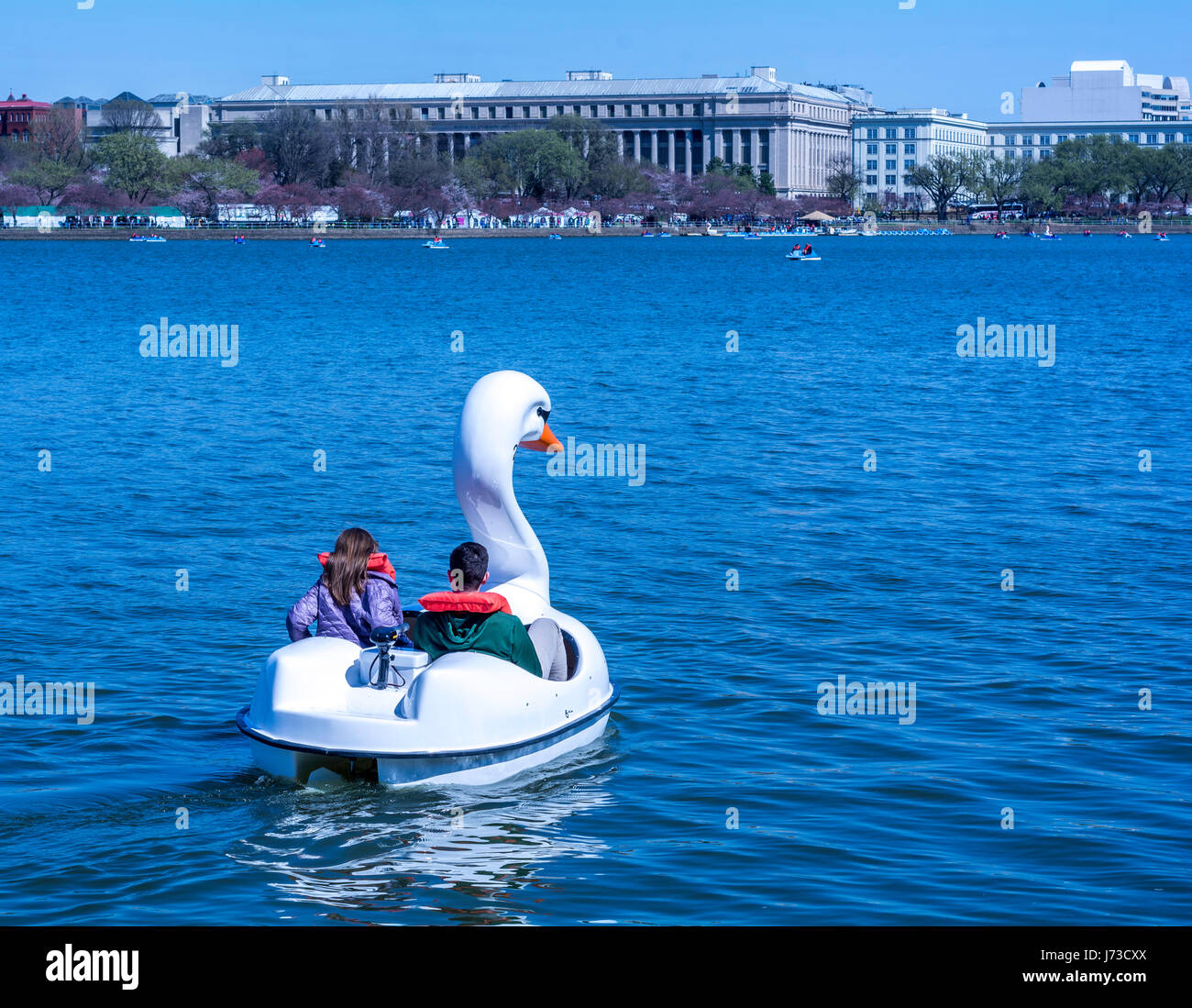 A principios de marzo Washington - un clima agradable, floreciendo magnolia, vistas a la ciudad. Foto de stock