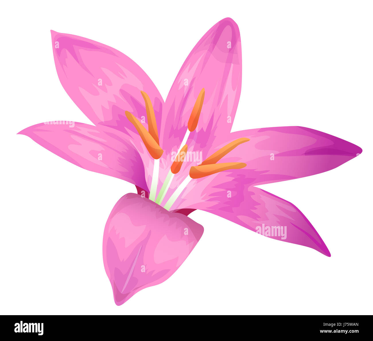Dibujos animados de grandes flores moradas Imágenes recortadas de stock -  Alamy