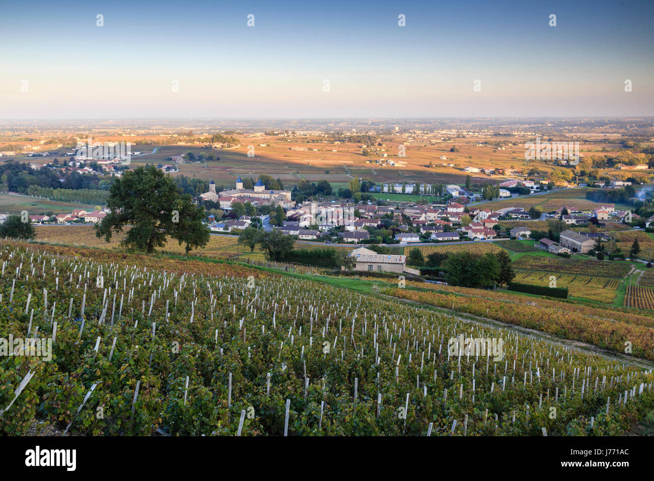 Francia, Ródano, Beaujolais región, Saint Lager, y el viñedo en otoño visto desde las laderas del Mont Brouilly Foto de stock