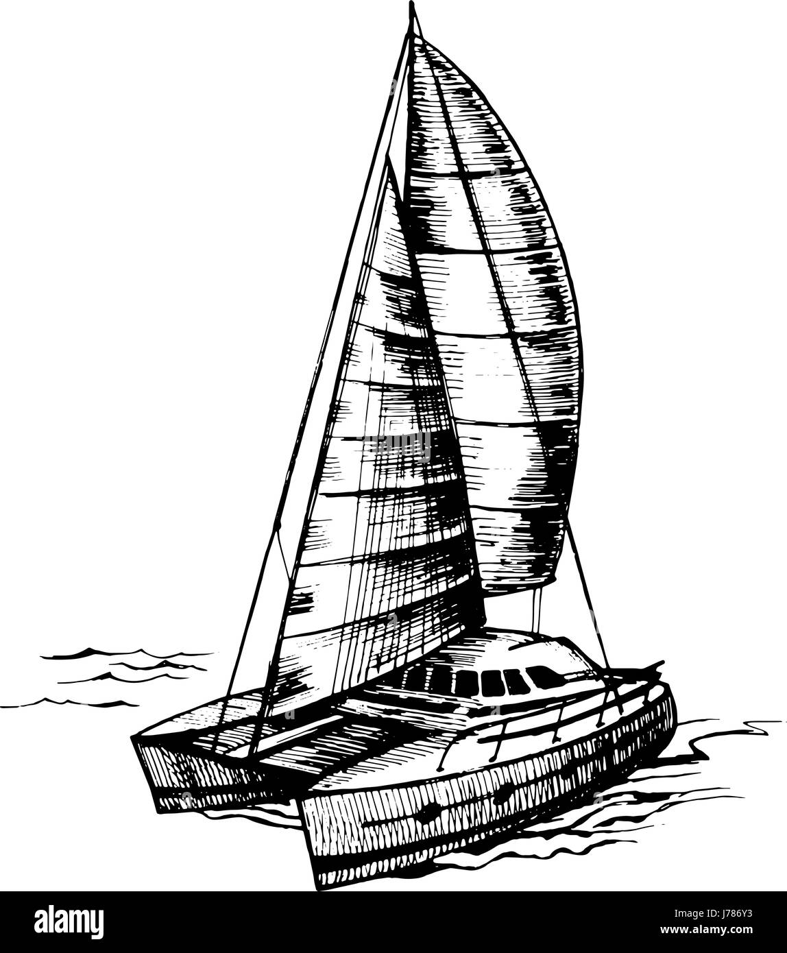 Velero catamarán vector monocromo Ilustración del Vector