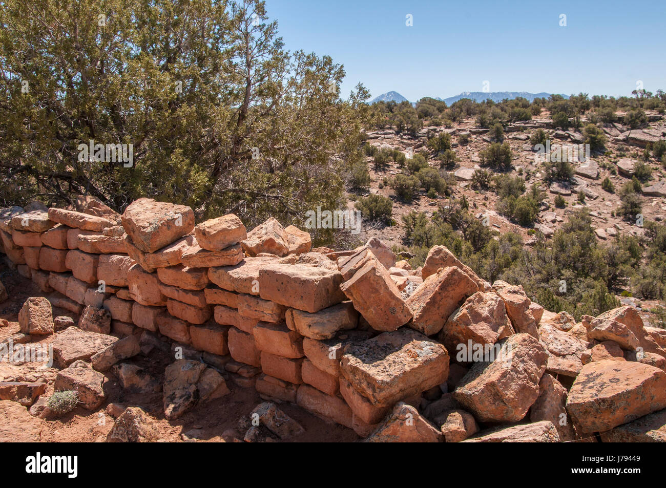 Ruinas a lo largo de la ruina de la BLM Point Road 4720, cañones de los ancients Monumento Nacional al noroeste de Cortez, Colorado. Foto de stock