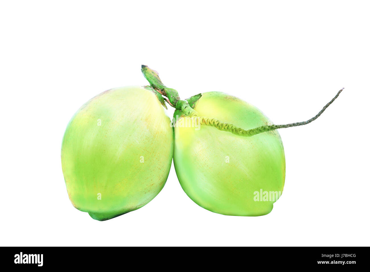 Coco verde bunch aislado fondo blanco Fotografía de stock - Alamy