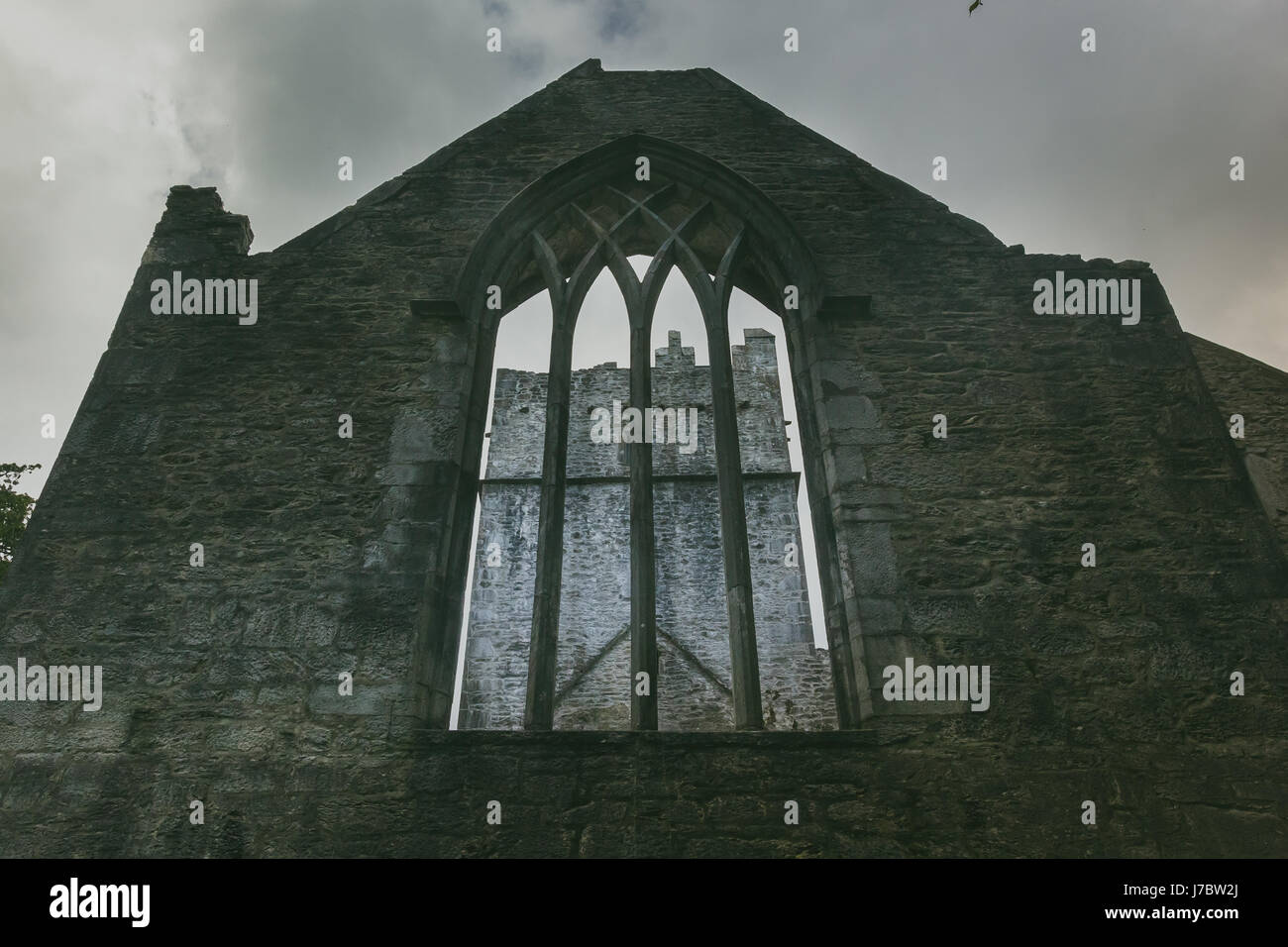 La Muckross abbey en ruinas. Foto de stock