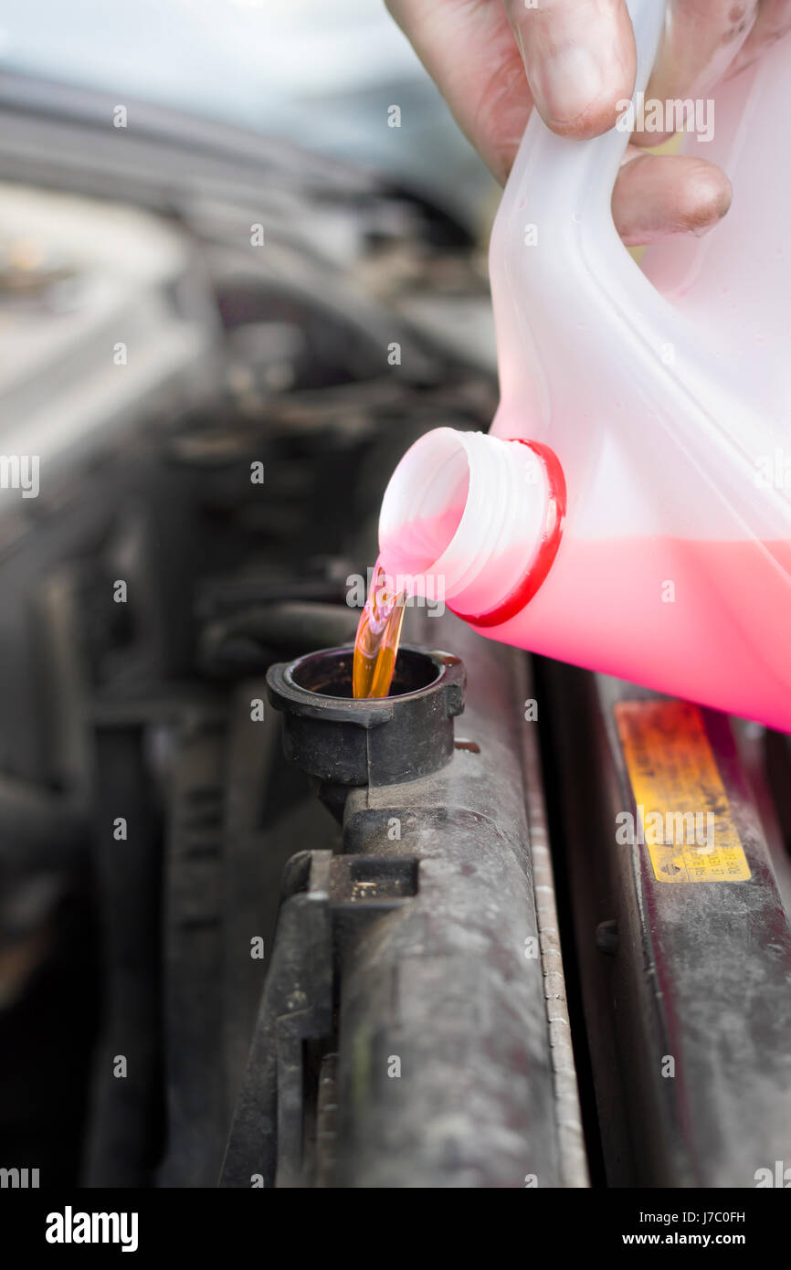 El mecánico se vierte el líquido de refrigeración en el radiador spure. Servicio de coche. Añadir líquido al radiador del coche. Foto de stock