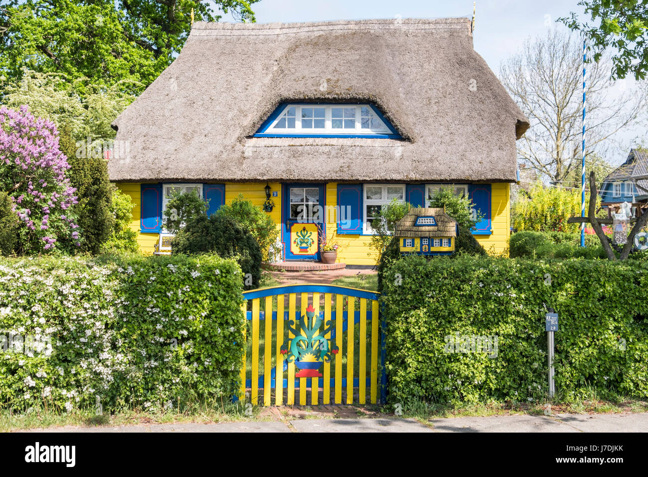 Típica casita con techo de paja y el jardín al nacer auf dem Darss, Mecklenburg-Vorpommern, Alemania Foto de stock