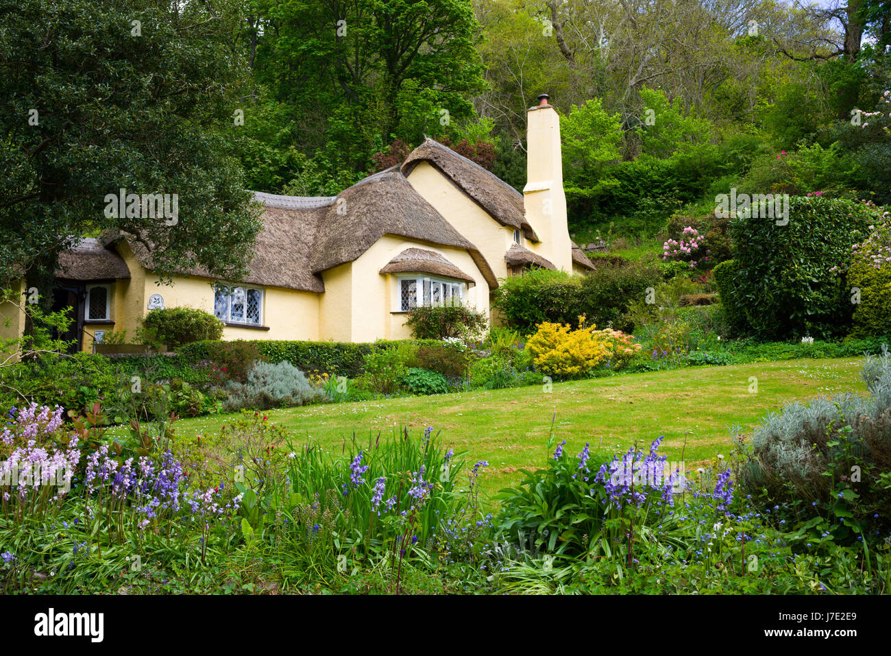 El National Trust aldea de Selworthy en Exmoor National Park, Somerset, Inglaterra. Foto de stock