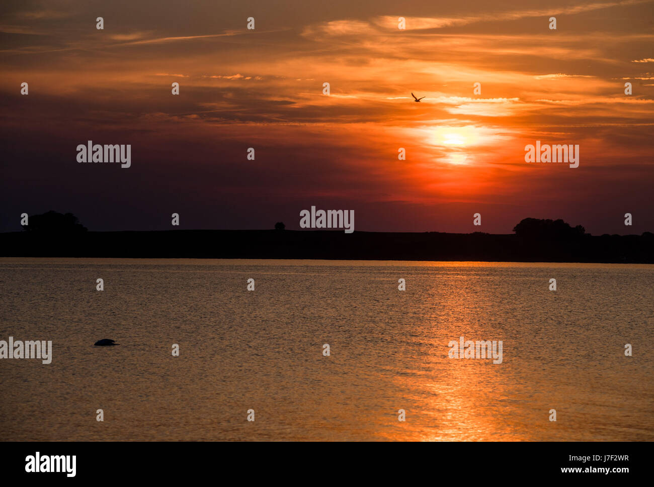 Ruegen, Alemania. El 18 de mayo, 2017. Cerca de Neu Reddevitz atardecer en el Báltico en la isla de Ruegen, Alemania, 18 de mayo de 2017. Ruegen es la mayor y más poblada isla alemana con 77.000 habitantes. Foto: Jens Büttner/dpa-Zentralbild/ZB/dpa/Alamy Live News Foto de stock