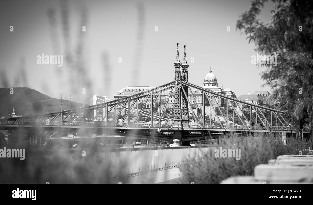 Vista de Budapest Puente Liberty en verano Foto de stock
