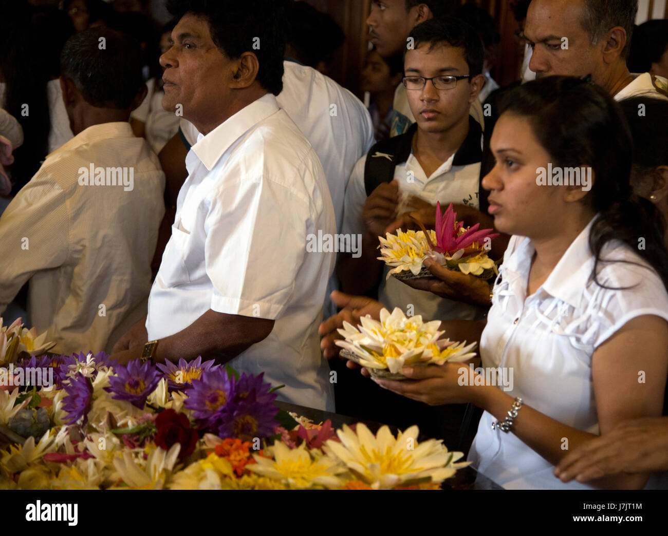 Kandy Sri Lanka Templo del Diente Sagrado en Luna Llena Navam día Poya peregrinos orando con lotus ofrendas florales Foto de stock
