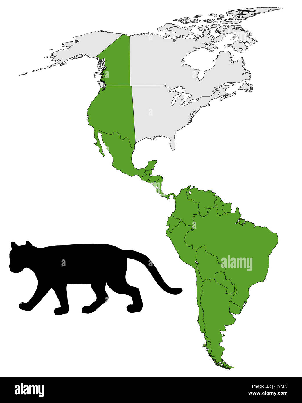 Mapa de distribución de puma Fotografía de stock - Alamy
