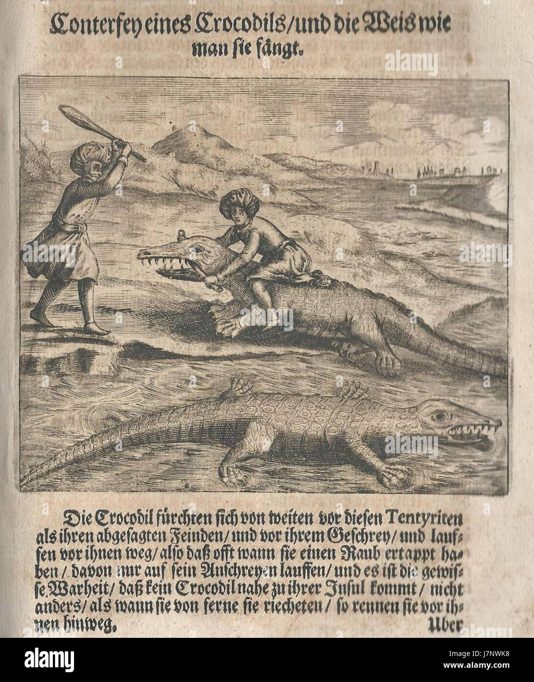Ulises Christl.1678.krokodile Foto de stock