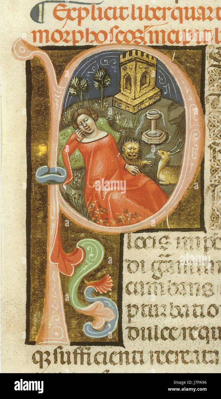 Metamorfosis Apuleius Fotos e Imágenes de stock Alamy