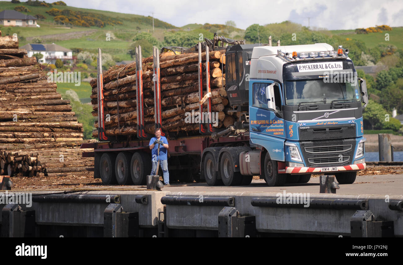 Madera en vehículos pesados de mercancías en CAMPBELTOWN HARBOUR KINTYRE ESCOCIA UK Foto de stock