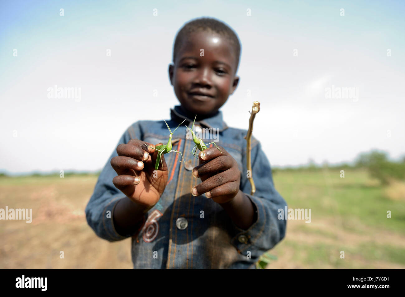 El muchacho, de 7 años, con dos, Passoré Gomponsom mantises, Provincia, Región Septentrional, Burkina Faso Foto de stock