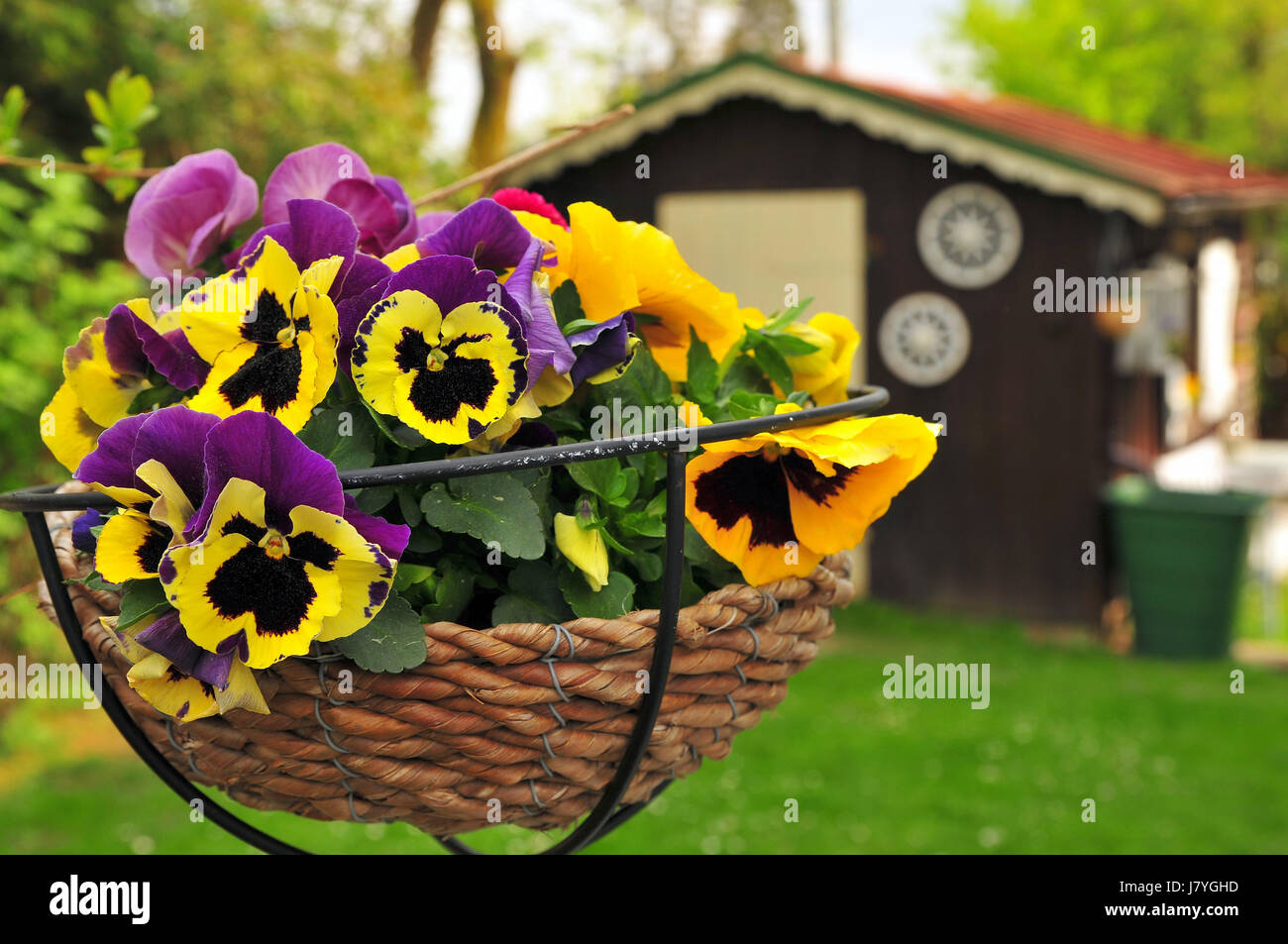 Jardín primavera pascua hare decoración jardines meadow bunny en el hogar tiempo libre Foto de stock