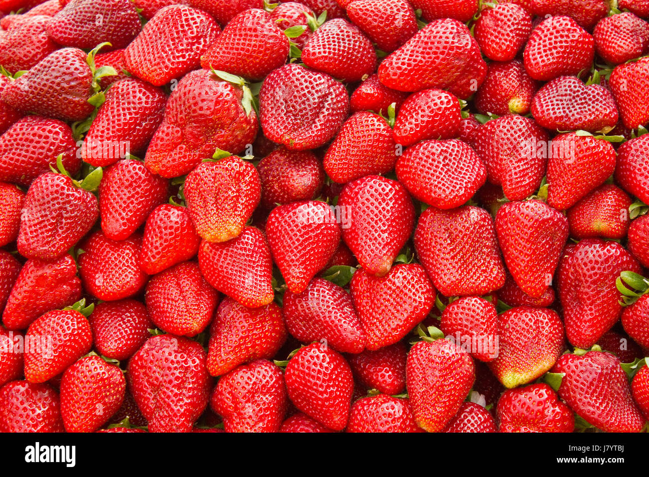Fondo de fresas Foto de stock