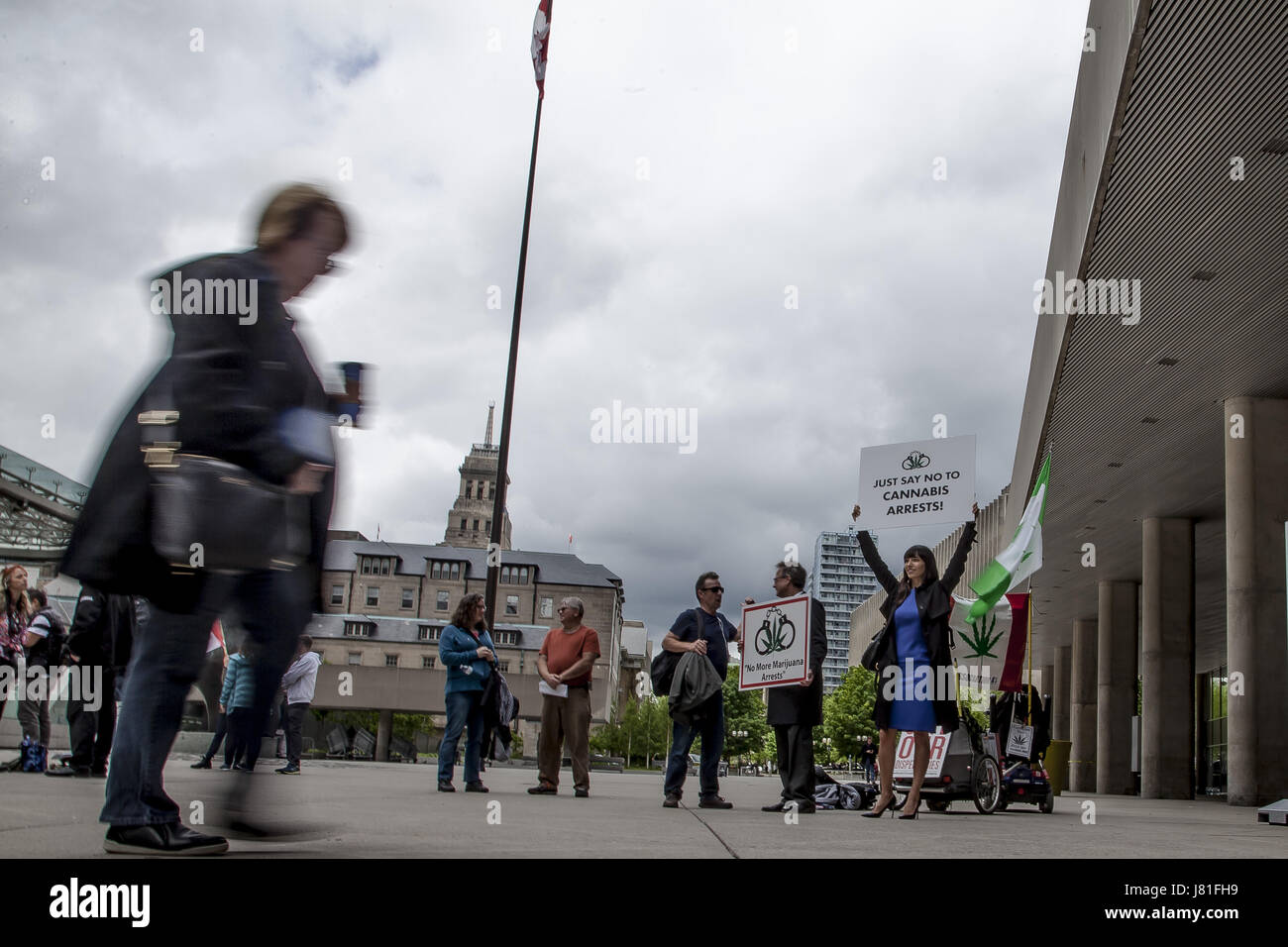 Toronto, Ontario, Canadá. El 26 de mayo, 2017. 26 de mayo marcó un año desde el ''Proyecto'' de Claudia allanamientos y arrestos comenzó. La ley anti-cannabis ha continuado en Toronto y en Canadá en el último año la criminalización de dispensarios de marihuana. Una protesta fue celebrada en el Ayuntamiento por Jodie y Marc Emery, propietarios de la cultura del cannabis dispensario exigiendo cambios políticos y a retirar los cargos contra la marihuana en la ciudad de Toronto a personas acusadas de vender marihuana. En una carta abierta al alcalde de Toronto, Jodie Emery sugiere que Toronto aborda la cuestión de la misma manera Vancouv Foto de stock