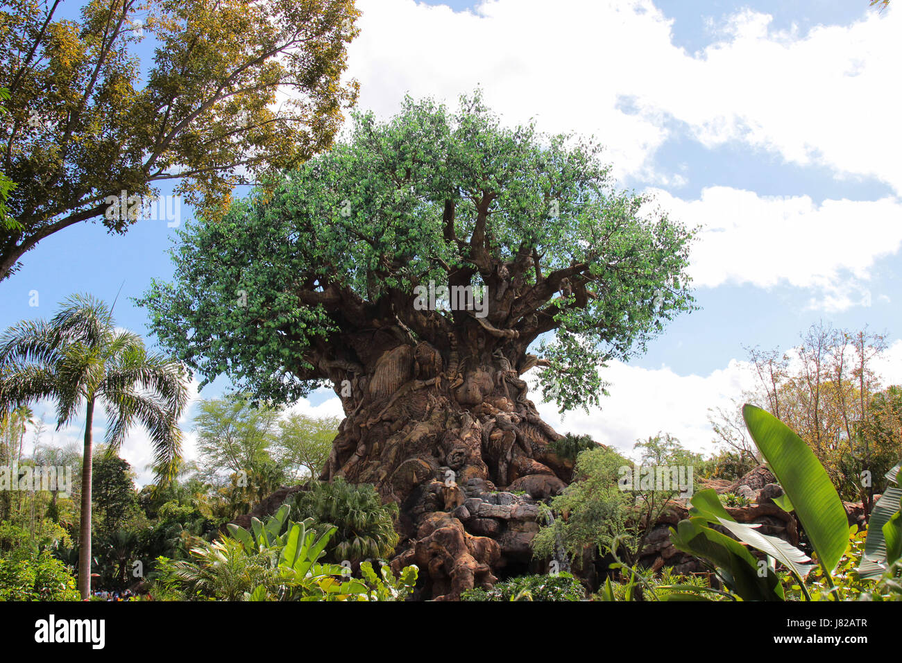 El árbol de la vida en el Reino Animal de Disney en Florida Foto de stock