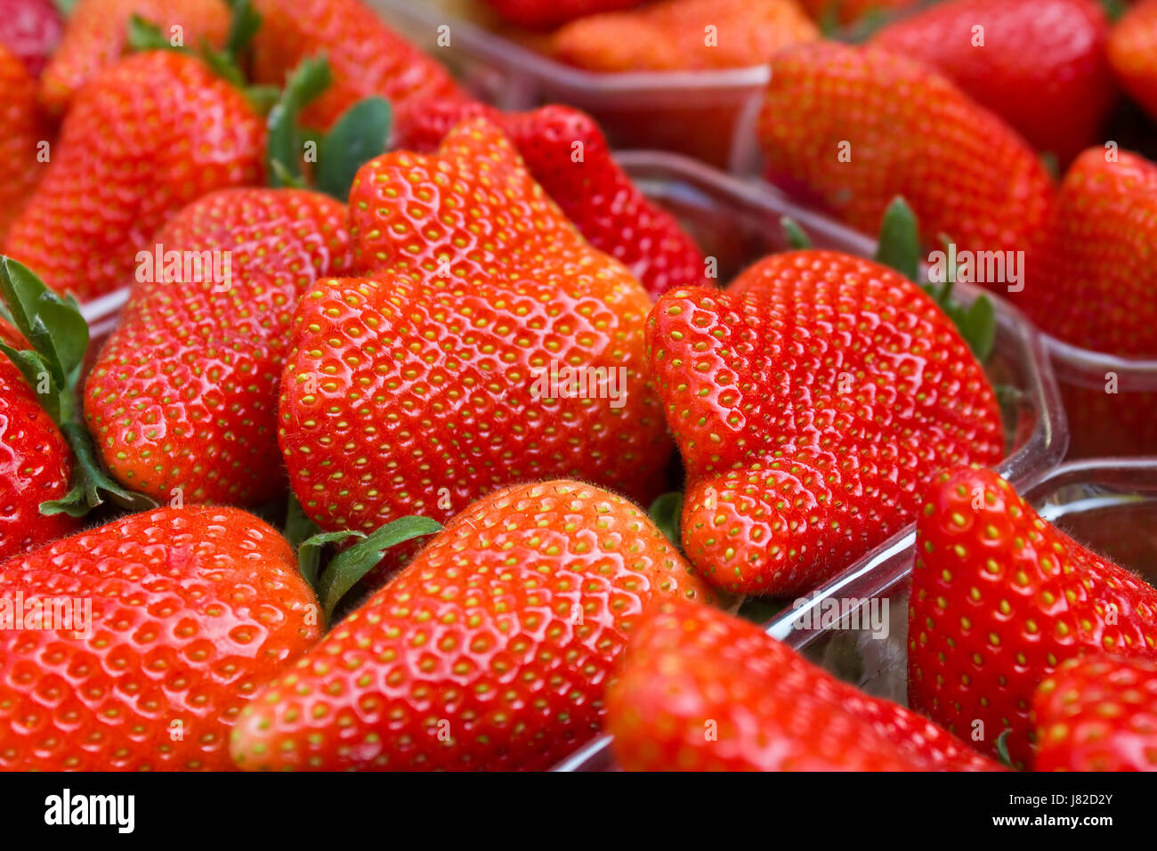fresas Foto de stock