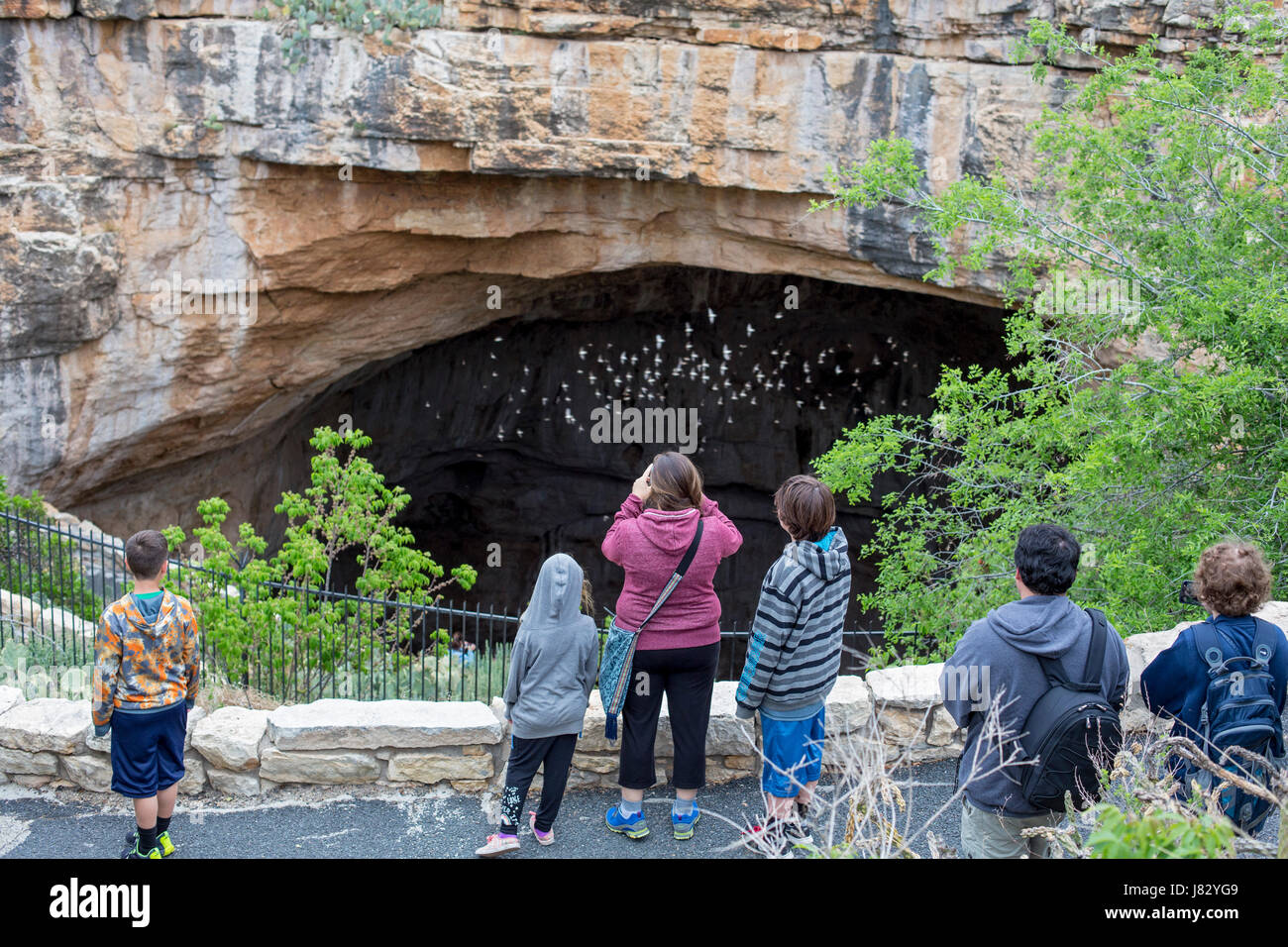 El Parque Nacional de las Cavernas de Carlsbad, Nuevo México - Los turistas observan la cueva de las golondrinas (Petrochelidon fulva) salgan de la entrada natural a las Cavernas de Carlsbad Foto de stock