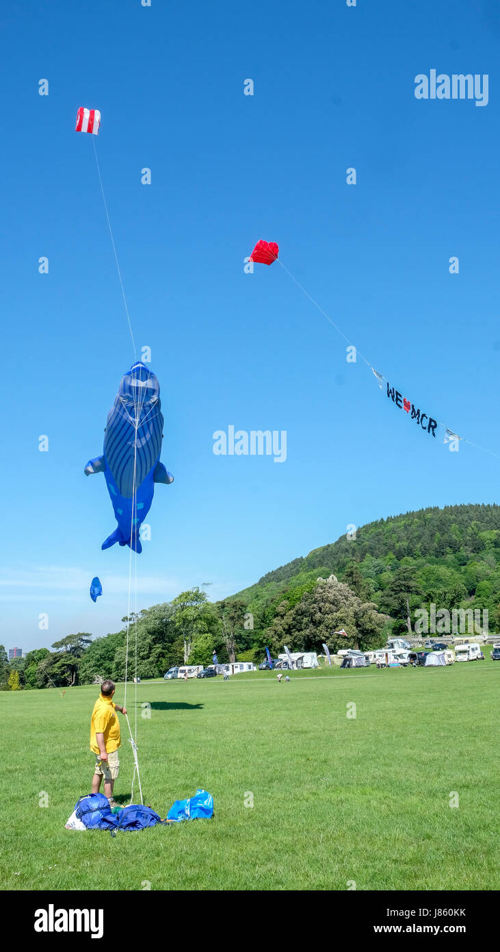 Volar cometas en Margam Park Foto de stock