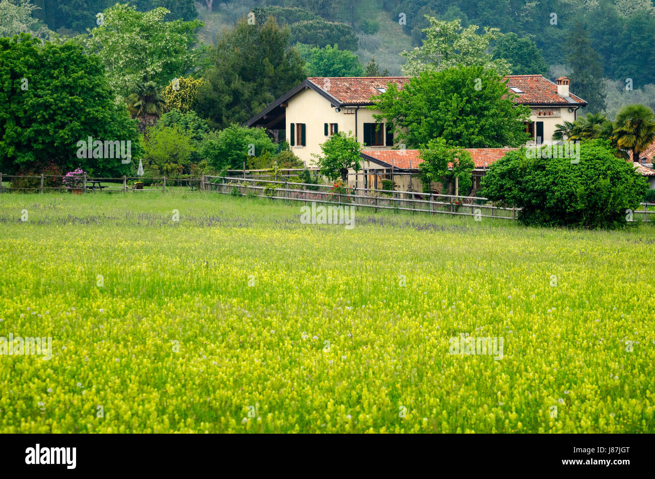Granja en un campo Foto de stock
