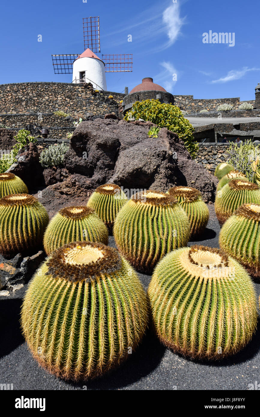 Bellamente diseñado jardín de cactus. Jardín de Cactus, atracción turística popular, Lanzarote, Islas Canarias, España, Europa Foto de stock