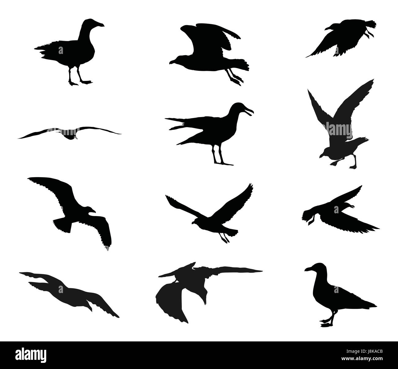 Silueta de pájaro en vuelo Imágenes vectoriales de stock - Alamy