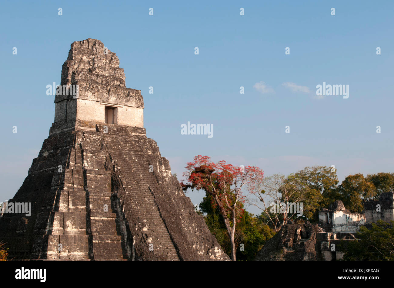 El Templo I, también conocido como templo del jaguar gigante en el sitio arqueológico maya de Tikal. Foto de stock