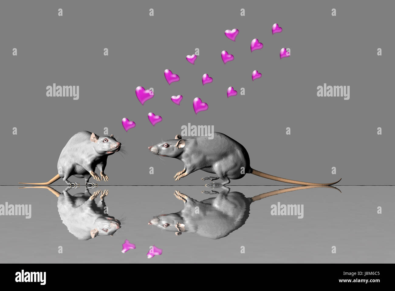 Ratón, corazones, ratones, amor, en el amor, enamorado, corazón, gris, gris, rosa Fotografía de stock - Alamy Ratón, corazones, ratones, amor, en el amor, enamorado, corazón, gris, gris, rosa Fotografía de stock - Alamy