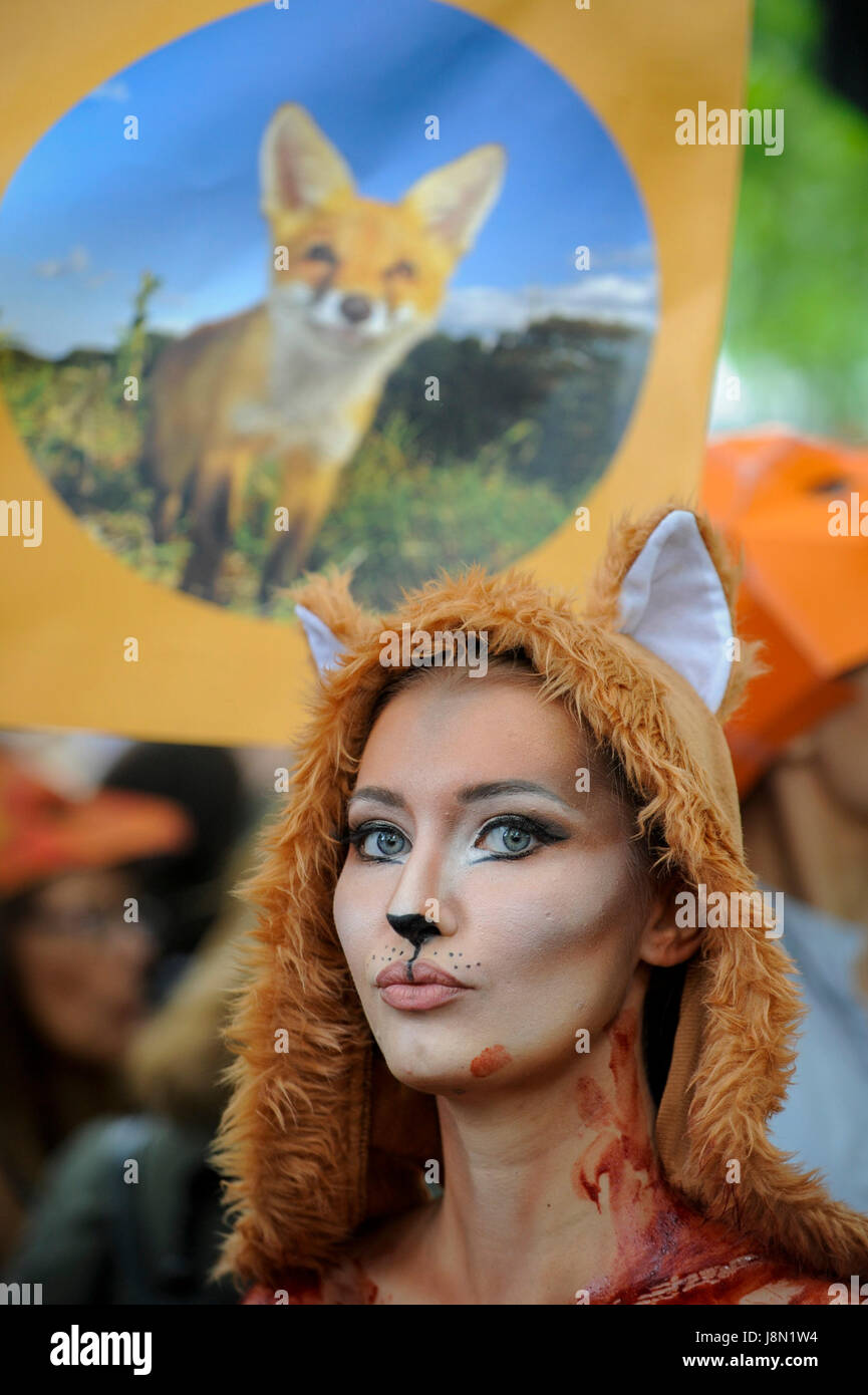Londres, Reino Unido. 29 Mayo, 2017. Modelo Milgevska Daryna en traje de Fox  y pintura corporal se une a los manifestantes en una 'Anti-Hunting Marzo'  en el centro de Londres, marchando de