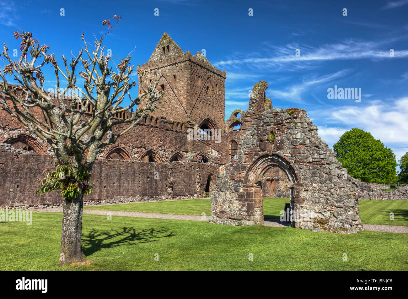 Siglo XIII Sweetheart Abbey propiedad de entorno histórico de Escocia y abierto al público en Nueva Abadía, Dumfries y Galloway, Escocia. Foto de stock