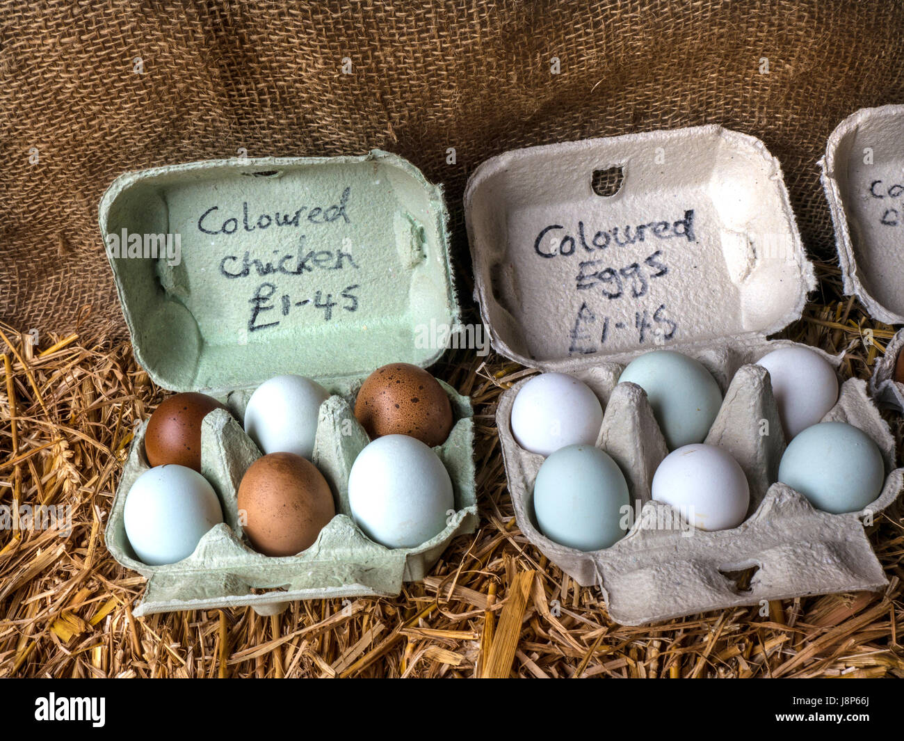 Los huevos de gallina de color produce naturalmente de colorida puesta de  huevos de gallinas en la pantalla para la venta en una tienda en la granja  de Dorset Fotografía de stock -