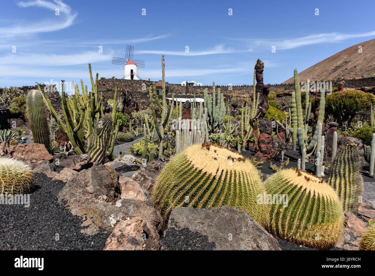 Jardín de Cactus en Lanzarote. Islas Canarias. España Foto de stock