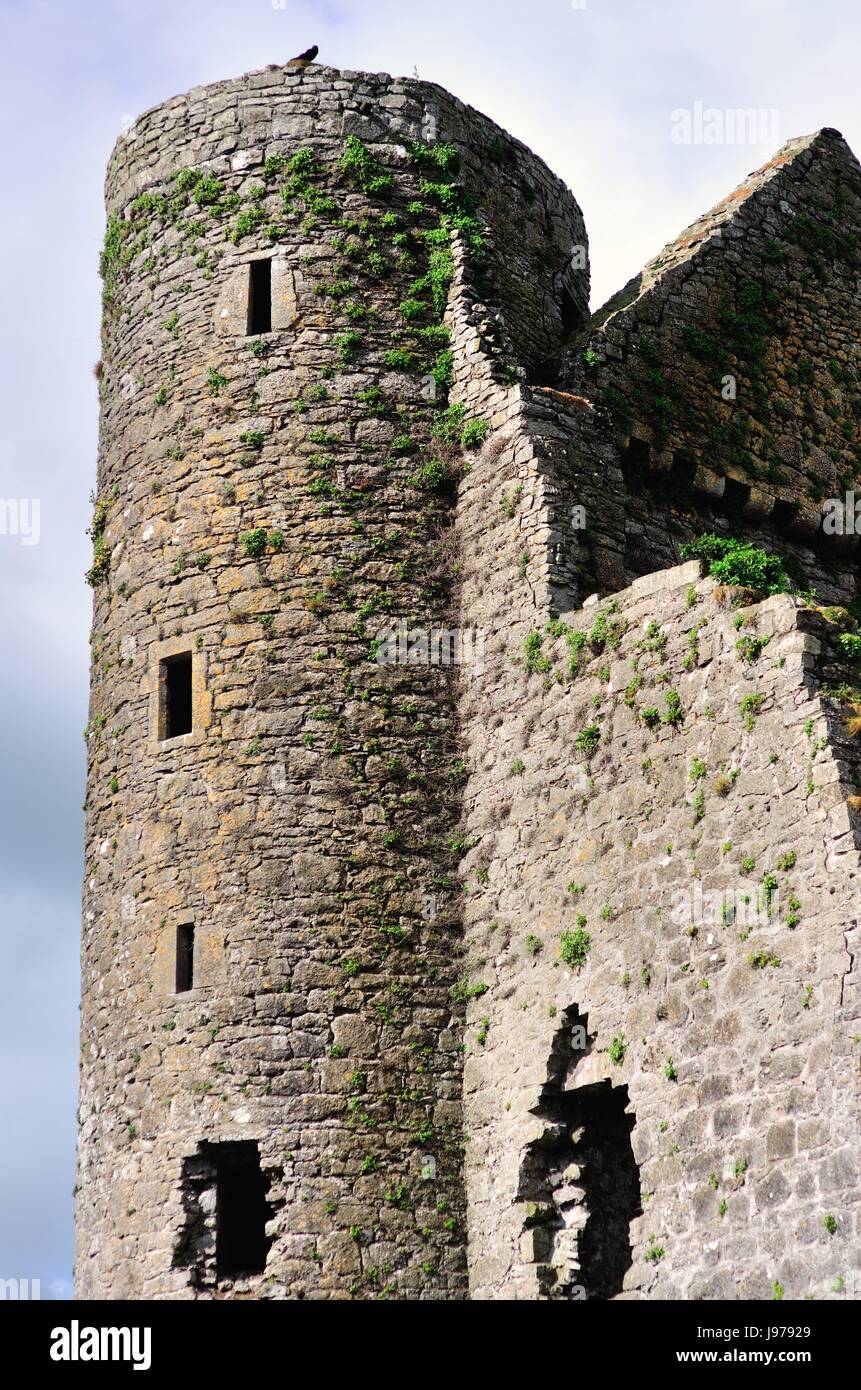 Torre sobre las ruinas del castillo de Delvin, también conocido como el castillo de Nugent, Delvin, Condado de Westmeath, Irlanda. El castillo fue construido en 1181. Foto de stock