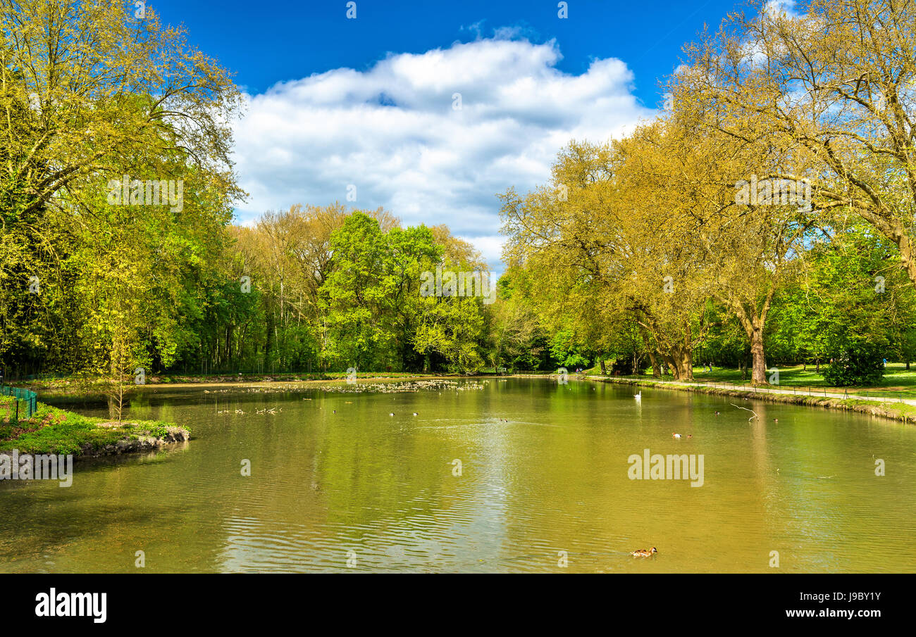 Estanque en el castillo de Cheverny, uno de los castillos del Valle del Loira en Francia Foto de stock