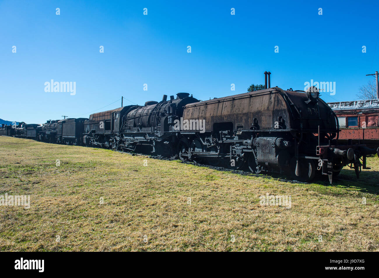 Los trenes a vapor viejo de la línea ferroviaria de Dorrigo, Parque Nacional Dorrigo, Nueva Gales del Sur, Australia, el Pacífico Foto de stock