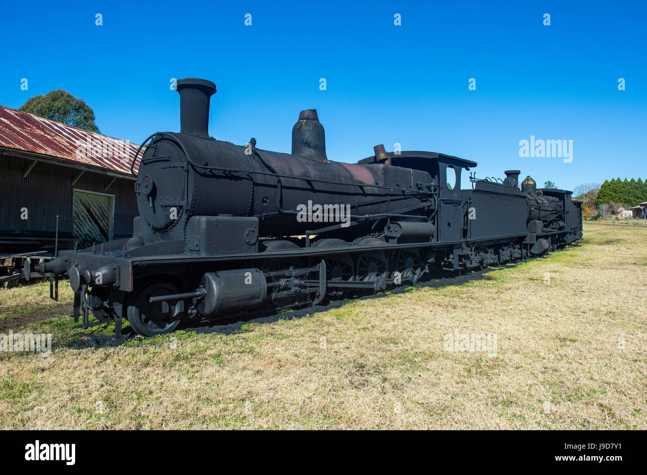 Los trenes a vapor viejo de la línea ferroviaria de Dorrigo, Parque Nacional Dorrigo, UNESCO, Nueva Gales del Sur, Australia, el Pacífico Foto de stock