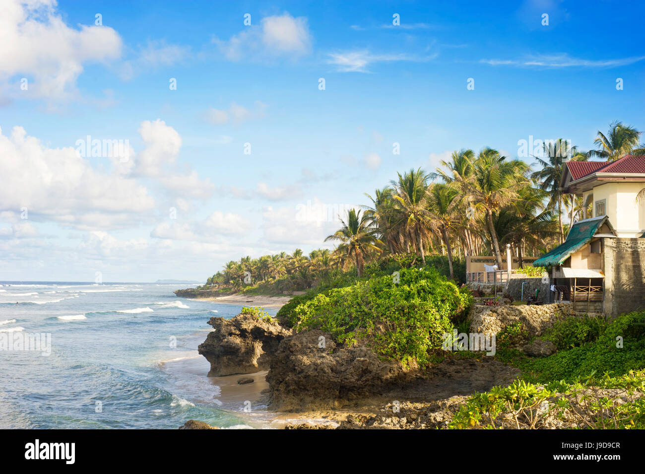 Azul, casa, edificio, hoja, viajes, relajación, árbol, vacaciones, Foto de stock